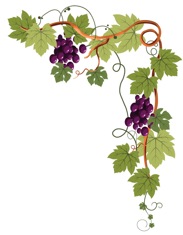 grape vine upper right